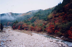 ��̐Î�ƍg�t