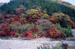 �؁X�̔������g�t�������������B