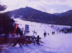 ����炬�X�L�[��܂łR�OKm