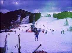 ���J�X�L�[��܂łP�R�D�UKm