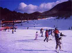 �X�L�[��ւ̍s���A��̓t�H�[�������ƂŁI