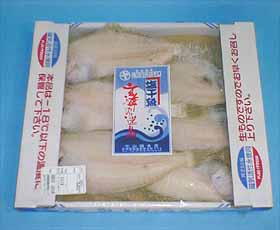 �����ꂢ�@1kg