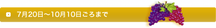 2009年7月20日～10月10日ごろまで