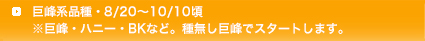 巨峰系品種・8/20~10/10頃