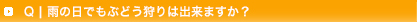 q1:雨の日でもぶどう狩りは出来ますか？